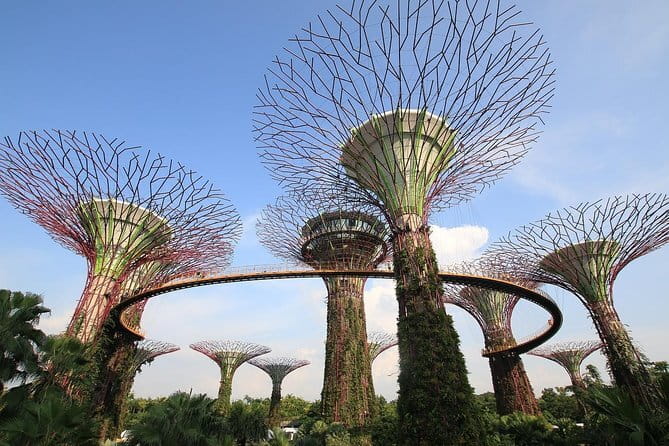 Marina Bay Sands SkyPark Observation Deck ticket in Singapore - Sunset strategy and the 8 pm light-and-water show