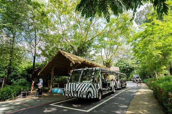 Morning at the Zoo with 1-way Transfer (Free & Easy) - A 4-Hour Morning at Singapore Zoo That Actually Fits a Schedule