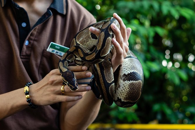 Morning at the Zoo with 1-way Transfer (Free & Easy) - The Guided Part: What You’re Actually Paying For
