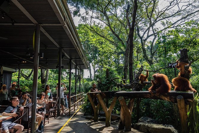 Morning at the Zoo with 1-way Transfer (Free & Easy) - Timing and Crowd Stuff: How This Tour Can Feel Short or Smooth