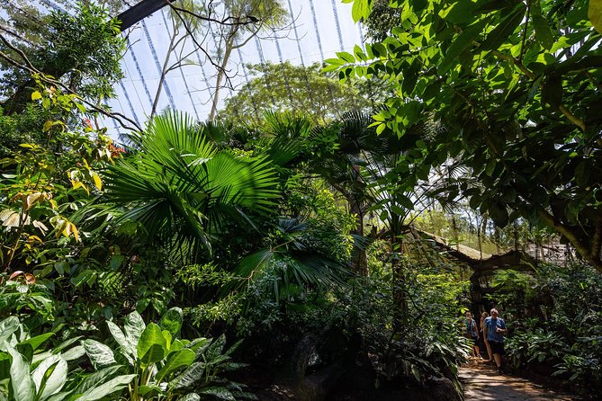 Morning at the Zoo with 1-way Transfer (Free & Easy) - What Animals and Moments You Can Expect to Catch