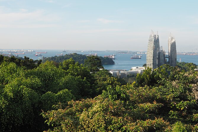 Mount Faber, Henderson Waves and Southern Ridges Tour - Alexandra Park and the adinandra belukar elevated walkway