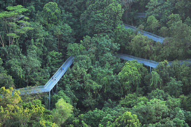 Mount Faber, Henderson Waves and Southern Ridges Tour - Nature lessons that make the walk feel personal