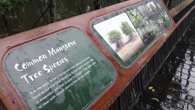 Nature Tour - Where Sungei Buloh Really Shines: Wetlands With Many “Rooms”