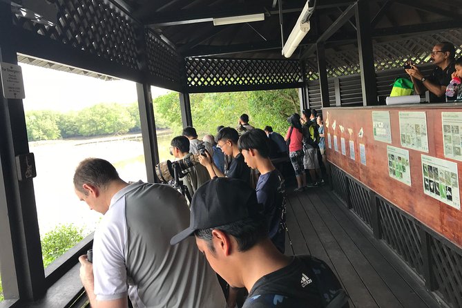 Nature Tour - Secondary Rain Forest and Coastal Trails: The Shift From Mud to Green