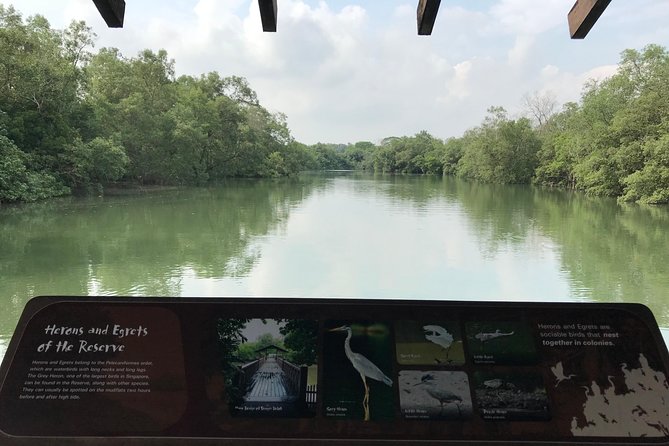 Nature Tour - Birdwatching Timing: Sep–Mar, With Nov–Dec as Prime
