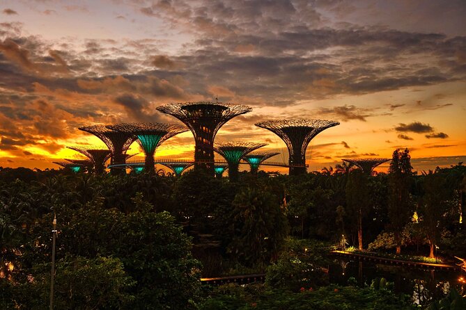 Night out with 6 Food Tastings, Spectra & Garden Rhapsody Shows - Stop 7: Spectra at Marina Bay Sands