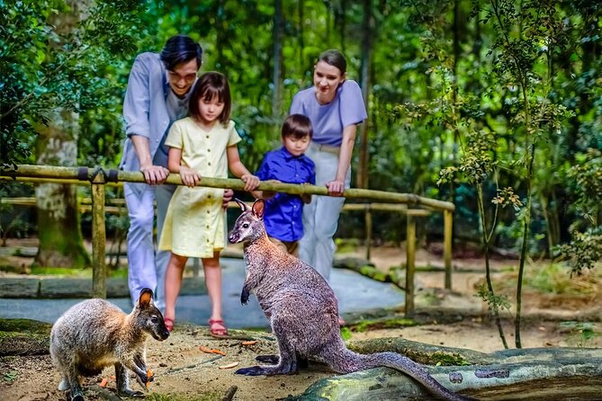 Night Safari Singapore Skip the Line Tickets with Tram Ride - What the 1–4 hour schedule feels like in real life