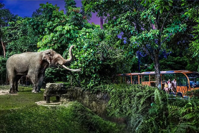 Night Safari Singapore Skip the Line Tickets with Tram Ride - Who should book this Night Safari tram-and-priority ticket