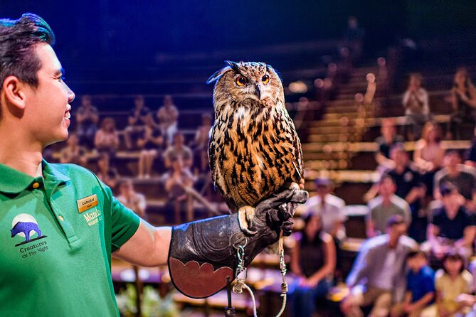 Night Safari Tickets with Tram Ride - What You’ll Do On Site: Tram Ride First, Trails After