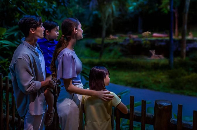 Night Safari Tickets with Tram Ride - Who This Night Safari Ticket Is Best For