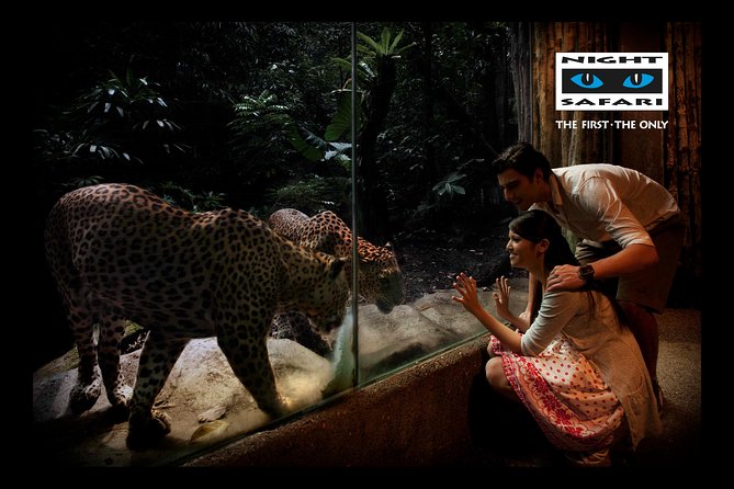 Night Safari Tour with Transfer - Who This Tour Works Best For