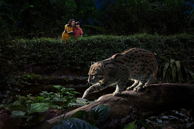 Night Safari with Buffet Dinner with hotel pick-up - Hotel pickup timing: how to protect your dinner and show