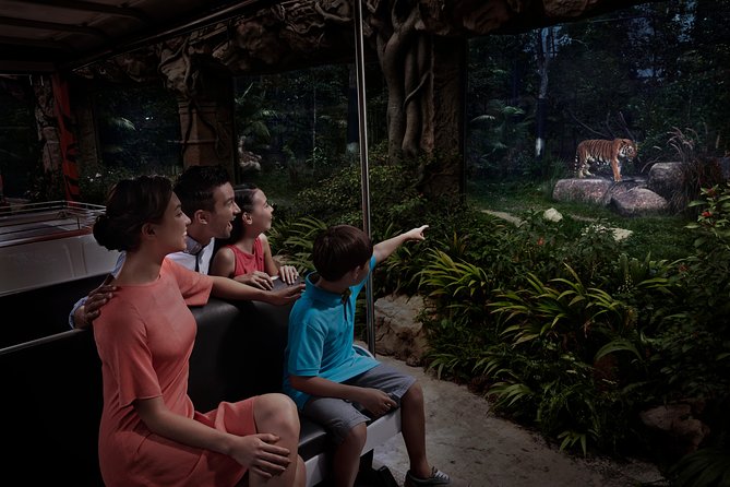Night Safari with Buffet Dinner with hotel pick-up - Price and logistics: where your $138.64 goes