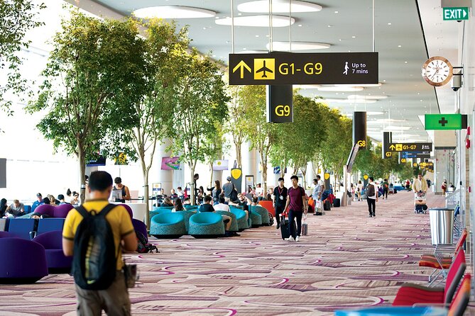 Private Arrival Transfer From Singapore Airport or Port to Hotel - Airport vs. cruise port pickup: plan for different friction points