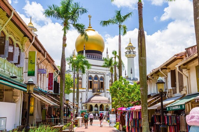 Private Car Tour for Singapore Highlights and Hidden Gems - National Museum of Singapore and Sri Veeramakaliamman Temple: arts plus race and religion