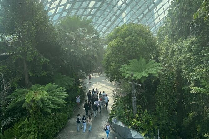 Private City Car Tour Singapore (4 Hours or 8 Hours) - How This Private Car Tour Gets You Past the Singapore Surface