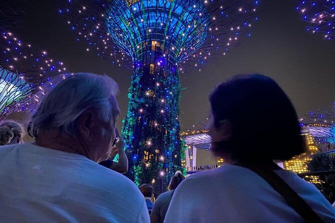 Private City Car Tour Singapore (4 Hours or 8 Hours) - Price and Value at $160.67 Per Person for 4 to 8 Hours