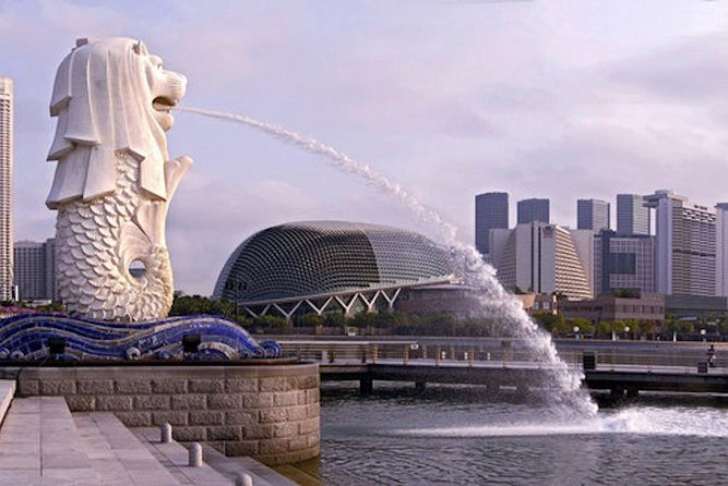 Private Customised Shore Excursion in Singapore By Car - The bumboat and skyline options: what’s included vs ticketed