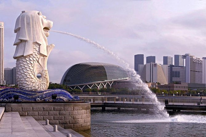 Private Customised Singapore Airport Layover Tour By Car - Skyline ticket add-ons: Skypark, Gardens by the Bay, and Singapore Flyer
