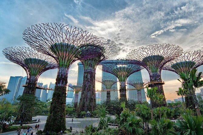 Private Full Day Singapore Highlights Tour - Kampong Gelam and Sultan Mosque: Golden domes and the Muslim heart of the area
