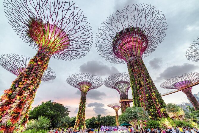 Private Full Day Singapore Highlights Tour - Lunch and Pace: When a provided meal saves your day
