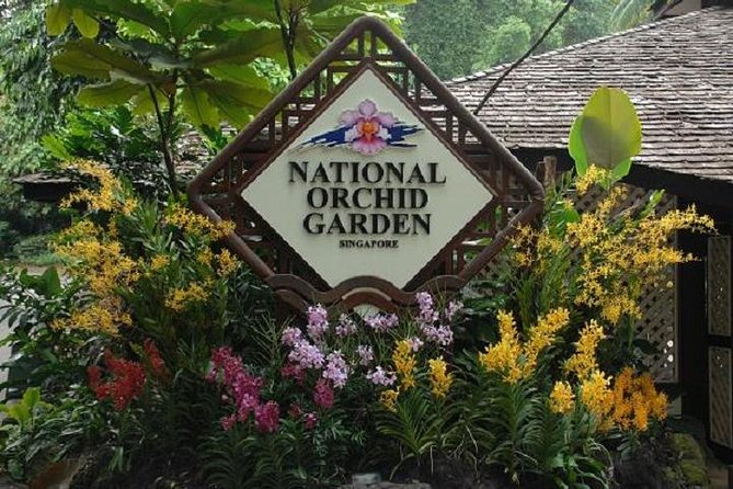 Private Half Day Singapore City Tour with Botanical Orchid Garden - The guides make or break your day