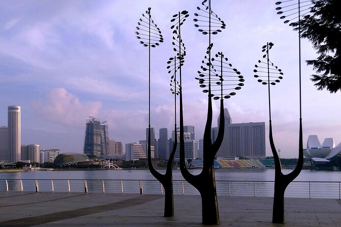 Private Half Day Singapore City Tour with Botanical Orchid Garden - Hotel pickup, air-conditioned comfort, and the 3.5-hour reality