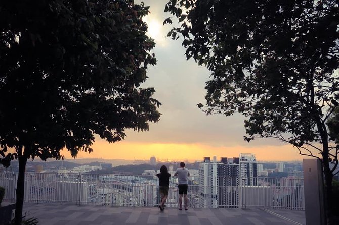 Private History & Culture tour (Walking tour) - The Pinnacle @ Duxton sky gardens: skyline views with a local-feeling twist