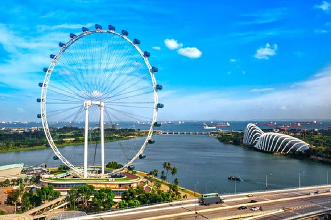 Private One Day Highlight Tour of Singapore with Singapore Flyer - Key highlights to know
