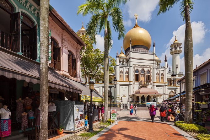 Private Singapore City Highlights Tour By Car - Half Day or Full Day - Historic buildings and art stops that make the city feel real