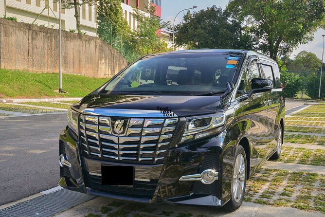 Private Singapore Departure in Mini Van from Hotel to Changi Airport - Arrival support at Changi: getting to check-in with less guesswork