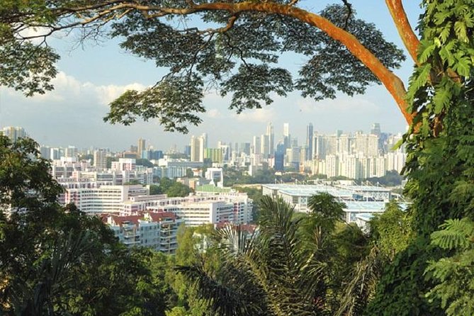 Private Singapore Full Day Round Island Tour with River Cruise - Geylang Serai: A Quiet Cultural Send-Off