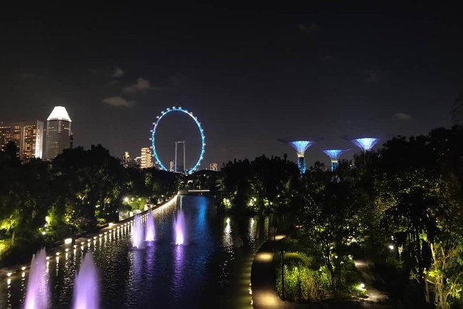Private Tour: Nighttime Sightseeing with River Cruise - Marina Bay Sands SkyPark: the skyline view you can actually frame
