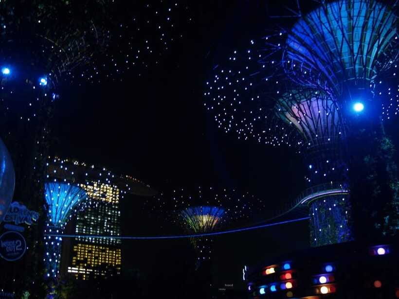 Private Tour sightseeing Marina Bay Sands+River Cruise(Max6) - Stop 3: Gardens by the Bay and the Supertree night show