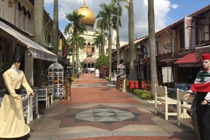 Private Tour:Singapore City Tour with Half Day Sentosa Island - Key Points You’ll Actually Use