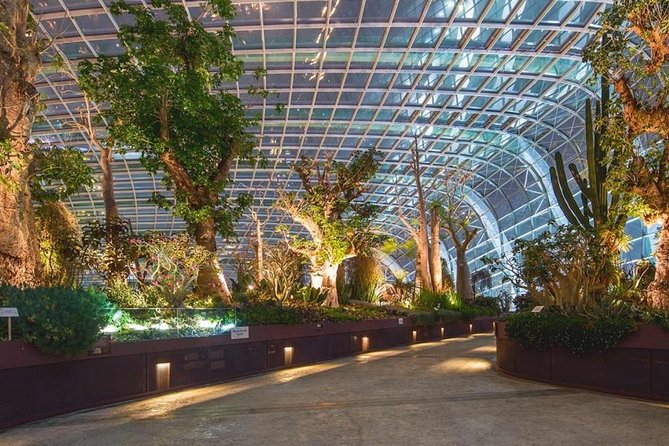 SandsSkyPark+GardensbytheBay(FlowerDome&Jurassic World)Transfers - Gardens by the Bay: Making the Most of Flower Dome and Supertree Grove