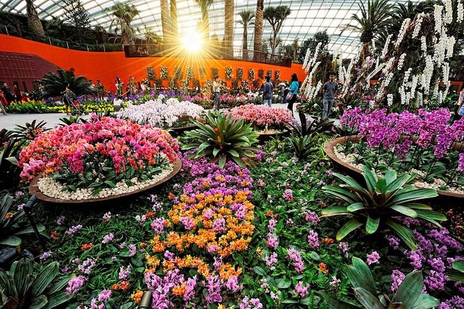 SandsSkyPark+GardensbytheBay(FlowerDome&Jurassic World)Transfers - Should You Book This Sands SkyPark + Gardens Package?