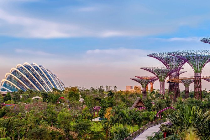 SandsSkyPark+GardensbytheBay(FlowerDome&Jurassic World)Transfers - The Supertree Light Show: Timing the Night Without Missing It