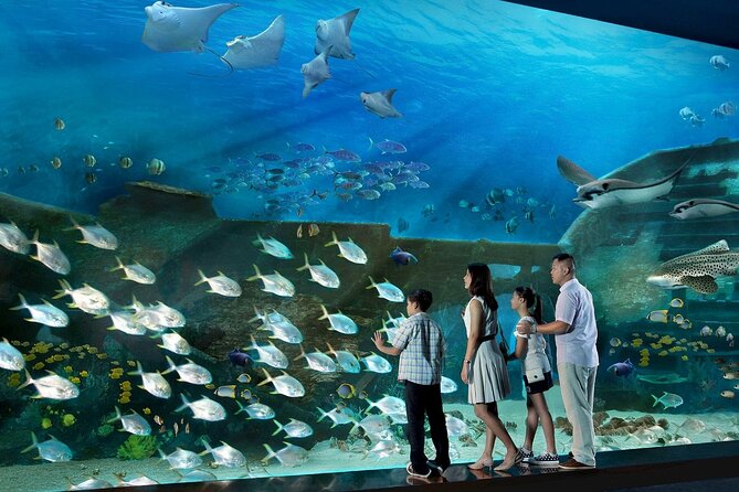 Sentosa Luxe: A Premium Half-Day Island Discovery Private Tour - Key highlights in plain terms