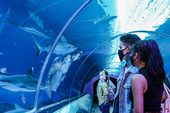 Sentosa Luxe: A Premium Half-Day Island Discovery Private Tour - Imbiah Lookout: your first real sense of Sentosa