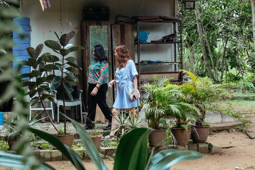 Singapore: 2.5-Hour Private City Tour Off the Beaten Track - Comfort Notes: Shoes, Insect Repellent, and the Walking Reality