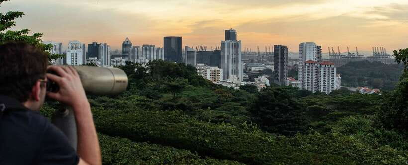 Singapore: 7-Hour Full Coverage Private Tour with a Local - Little India and the Muslim quarter: switching cultures without leaving the map