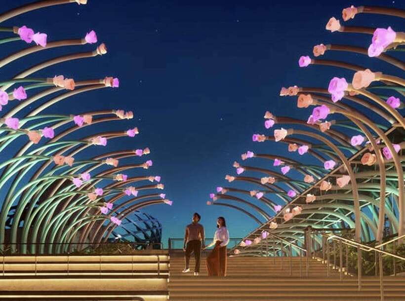Singapore After Dark:Small Group Sentosa Tour with Cable Car - Price and value: is $117 worth it?