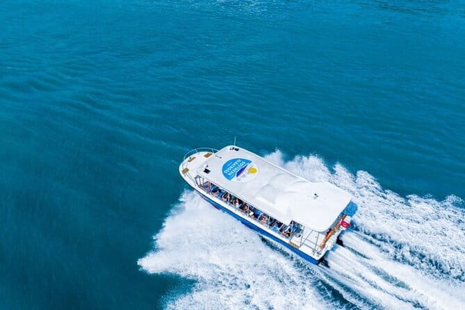 Singapore - Albatross Speedboat Adventures Cruising in Sentosa - Booking and Timing: How to Plan Your Day Around the Cruise