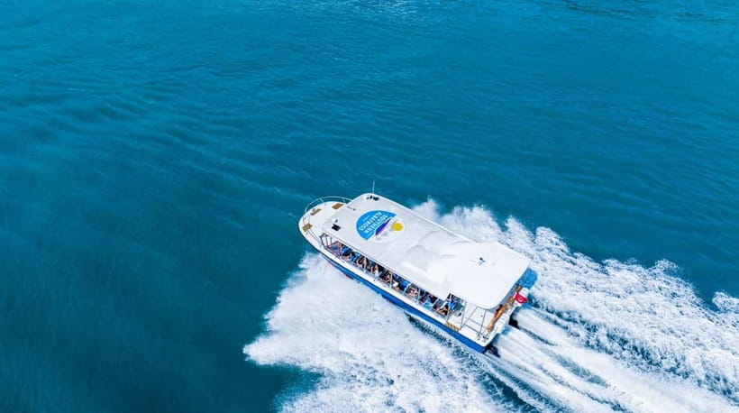 Singapore: Albatross Speedboat Adventures Ticket - Key things you’ll notice on the Albatross ride