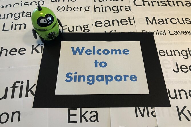 Singapore Arrival Ground Transfer in Limo-Bus - Should You Book This Singapore Changi Limo-Bus Arrival Transfer?