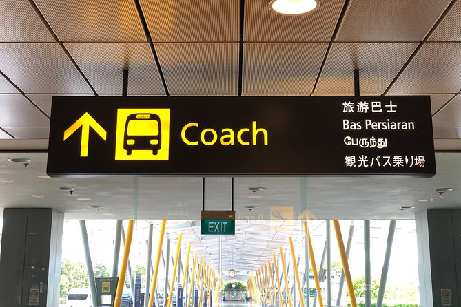 Singapore Arrival Ground Transfer in Limo-Bus - How the WhatsApp Meeting Works After You Land