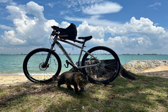 Singapore Beach City Cycling Tour - Merlion Park: the payoff stop and your photo plan
