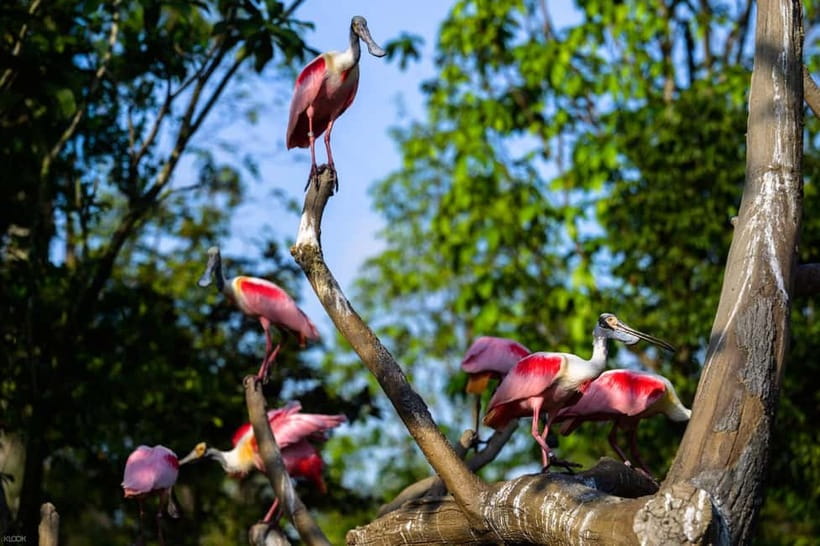 Singapore: Bird Paradise - Key things to notice before you go